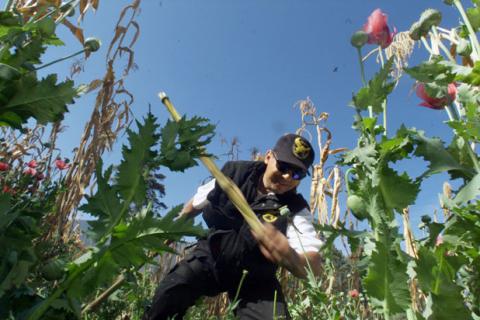 A man works in a field