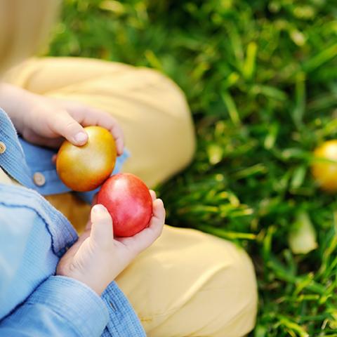 child sitting in grass holding easter eggs