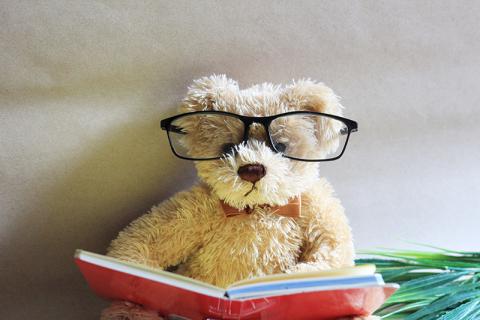 teddy bear reading