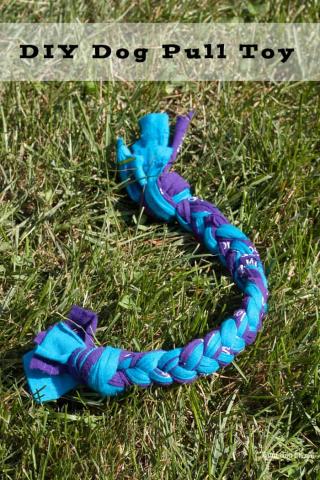 Text "DIY Dog Pull Toy" with blue & purple toy on green grass background