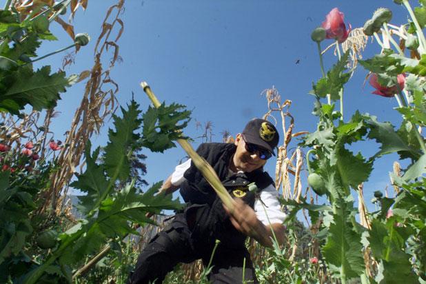 A man works in a field