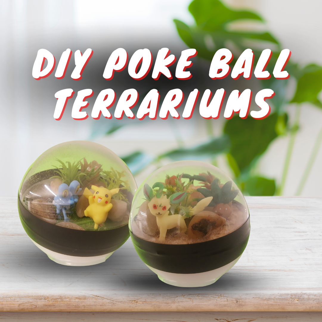 Poke Ball Terrarium advertisement. June 8th at 2pm.