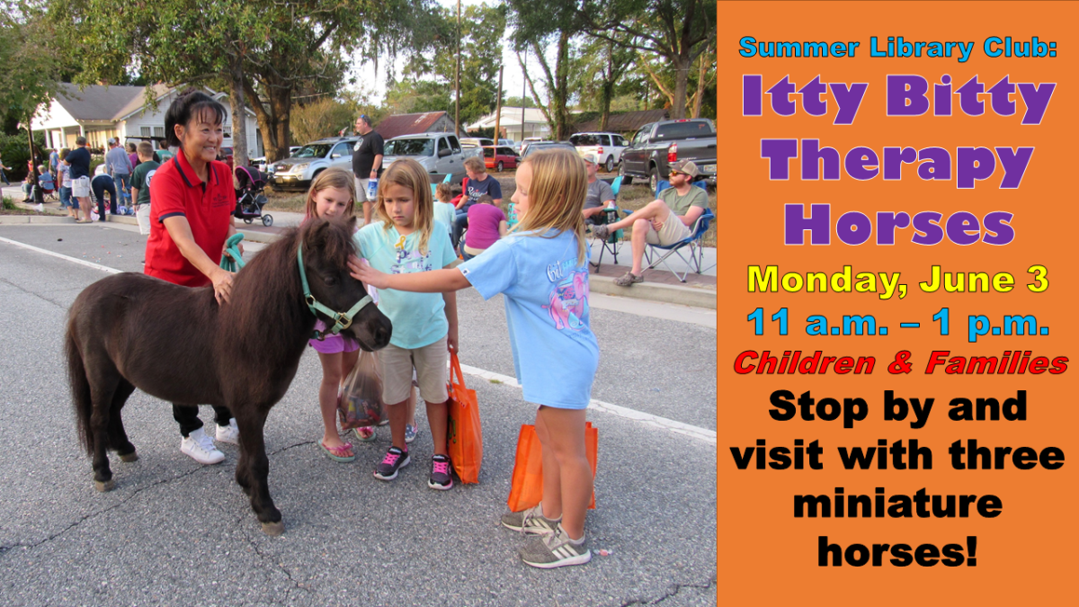 itty bitty therapy horses